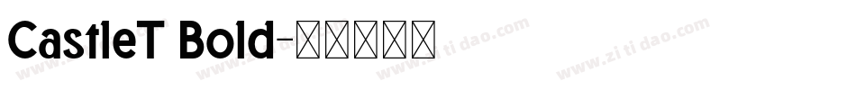 CastleT Bold字体转换